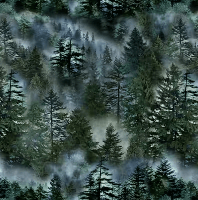Hovedbilde Forest Evergreen Forest